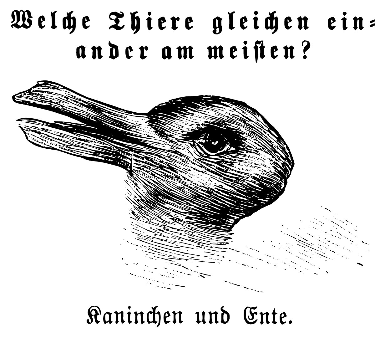 A drawing that looks like a rabbit and a duck used in psychology to illustrate visual illusions.