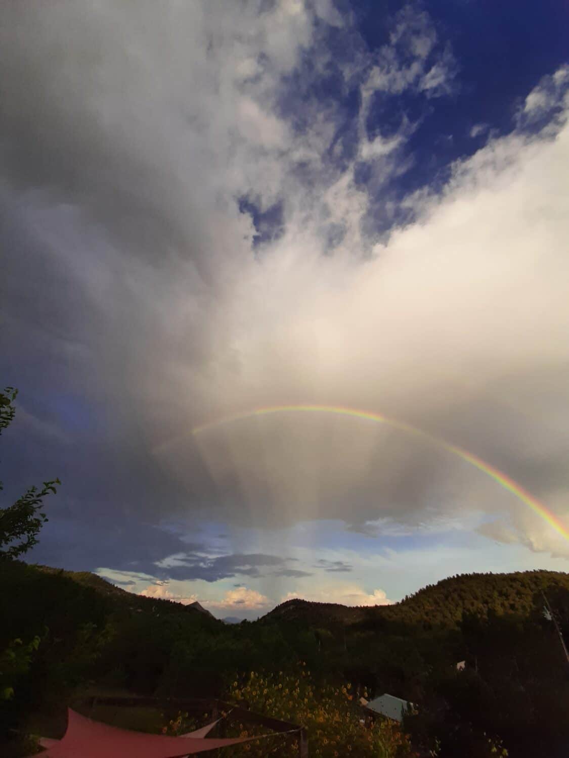 The perfect moment of a rainbow to give us pause