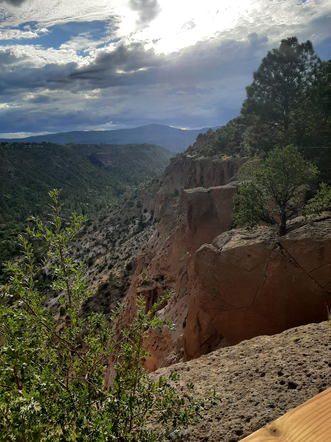 A quiet place to contemplate