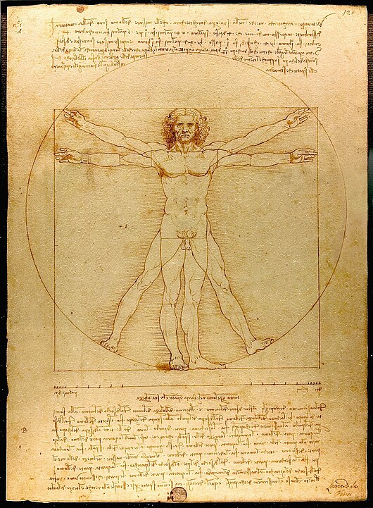 Leonardo da Vinci's famous drawing of the Vitruvius' description of a well proportioned man.