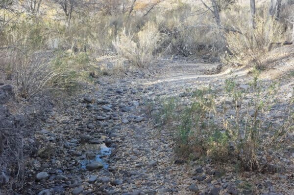 A trickle of water runs down Las Animas Creek.