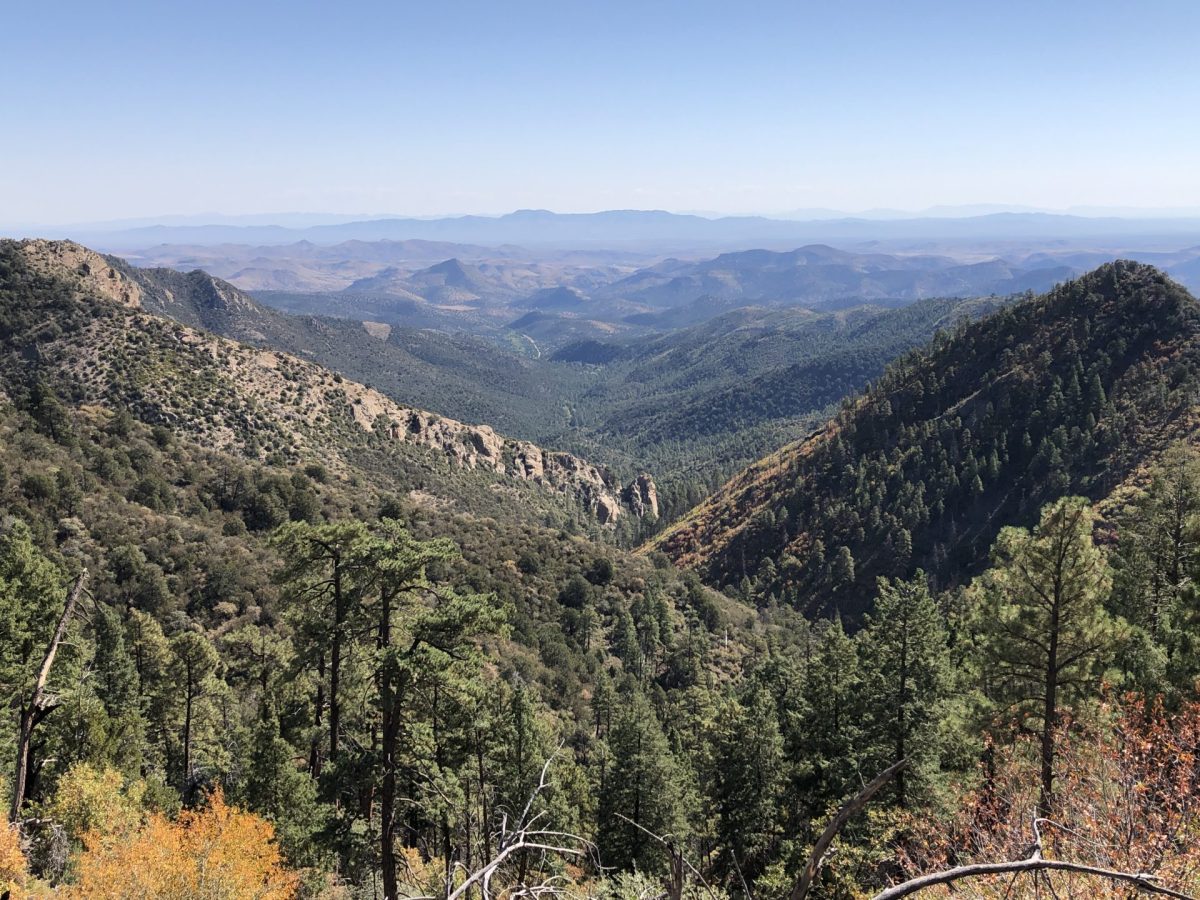 Plunging view from the Black Range to the Rio Grande Valley with a touch of bright yellow. 