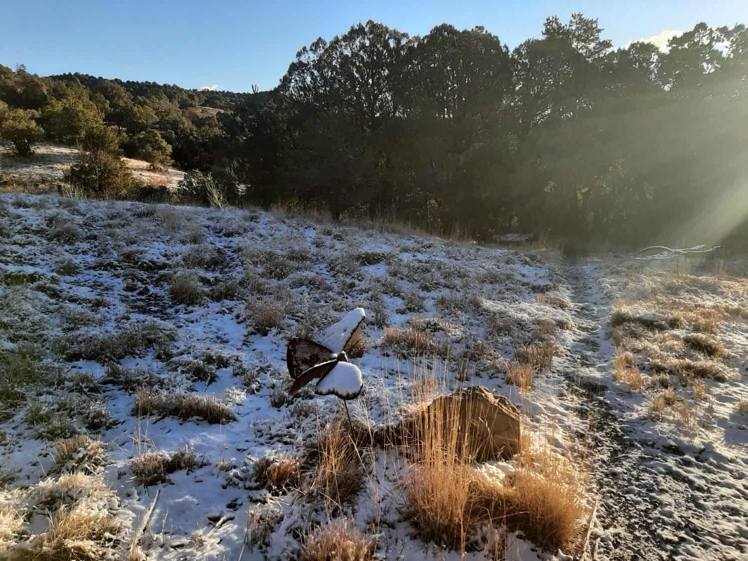 The simple joy of early sunlight on freshly fallen snow