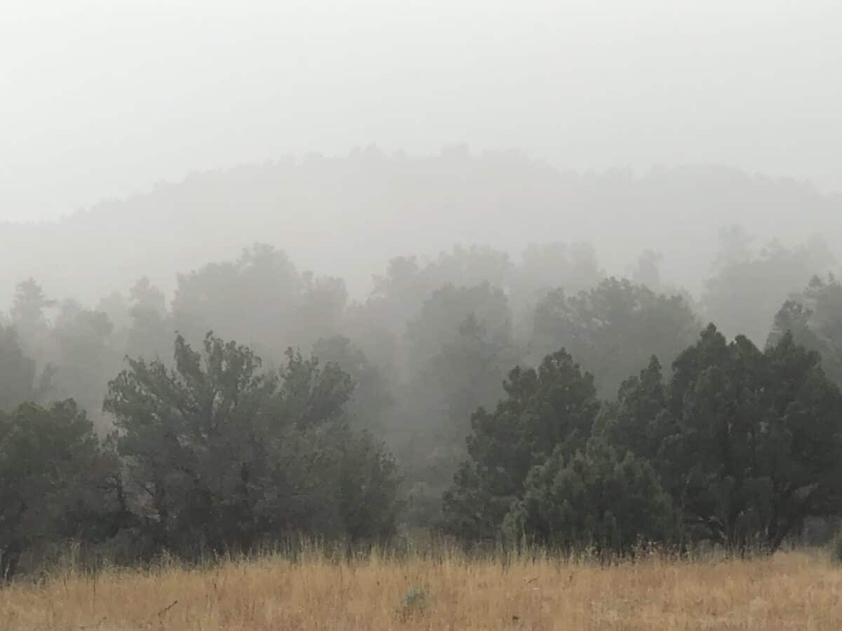 Foggy landscape.