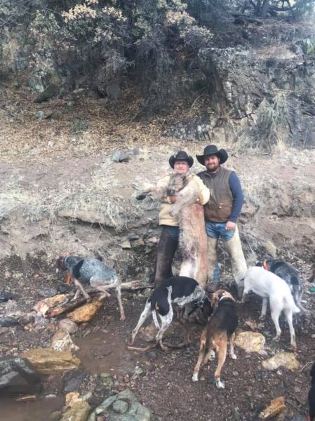 Picture of dead lion, dogs and hunters