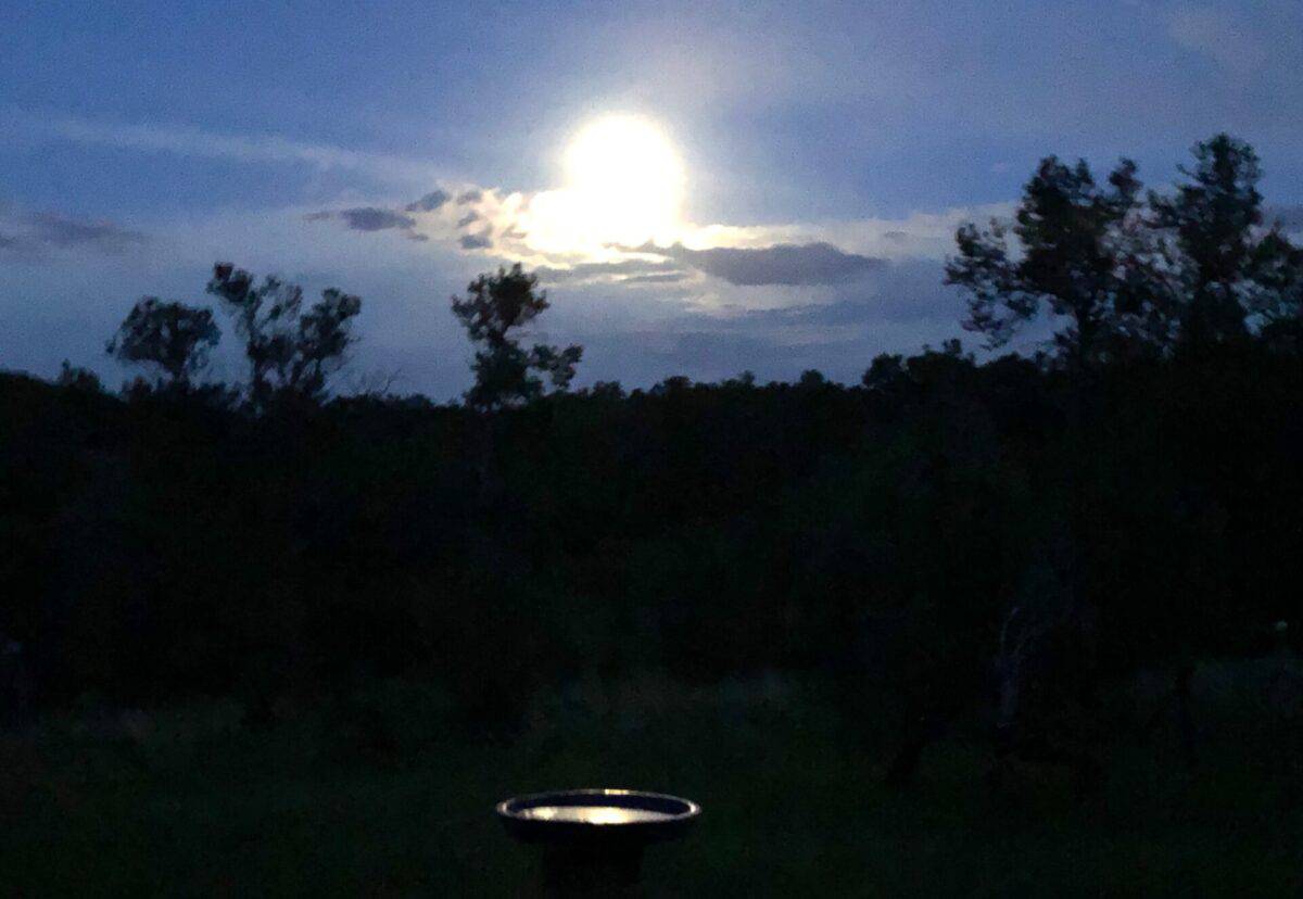 Full moon reflecting in a birdbath.