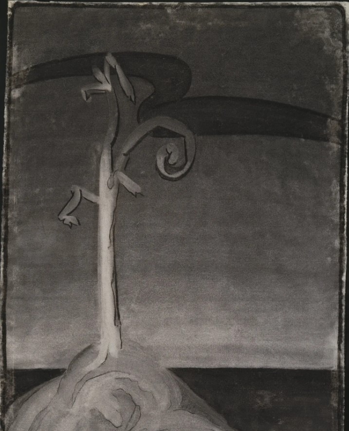 Georgia O'Keeffe untiled charcoal of lone pine, 1915