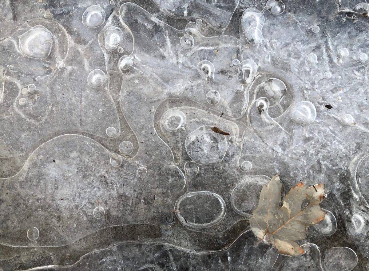 Iced creek with big bubbles and a leaf.