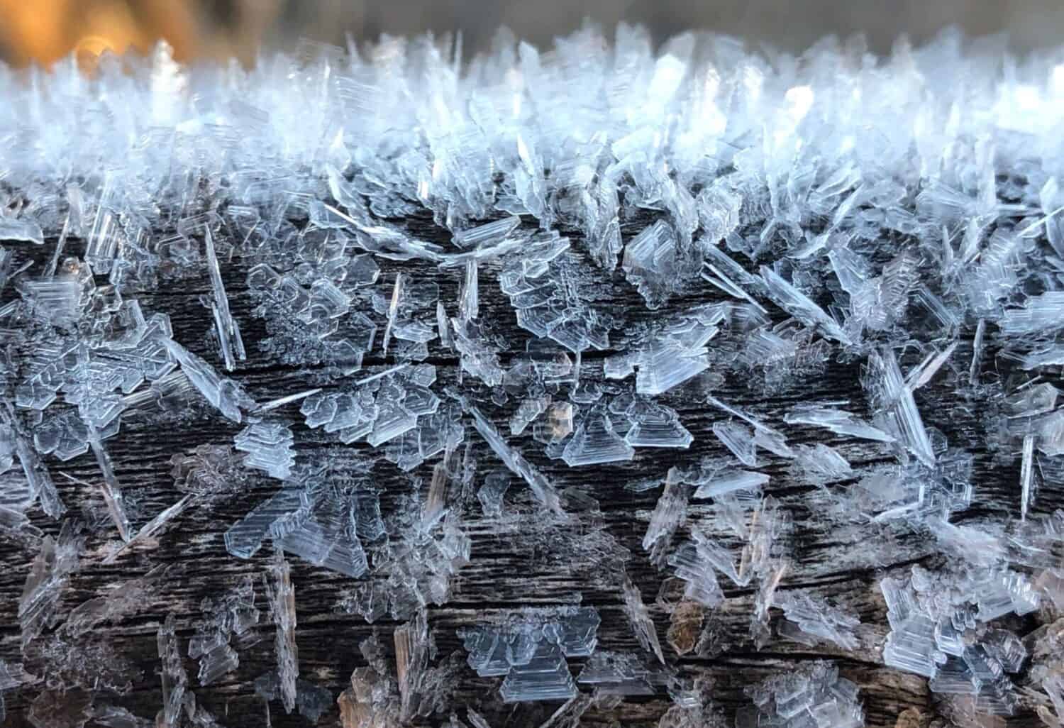 Ice crystals cover the surface of a log.