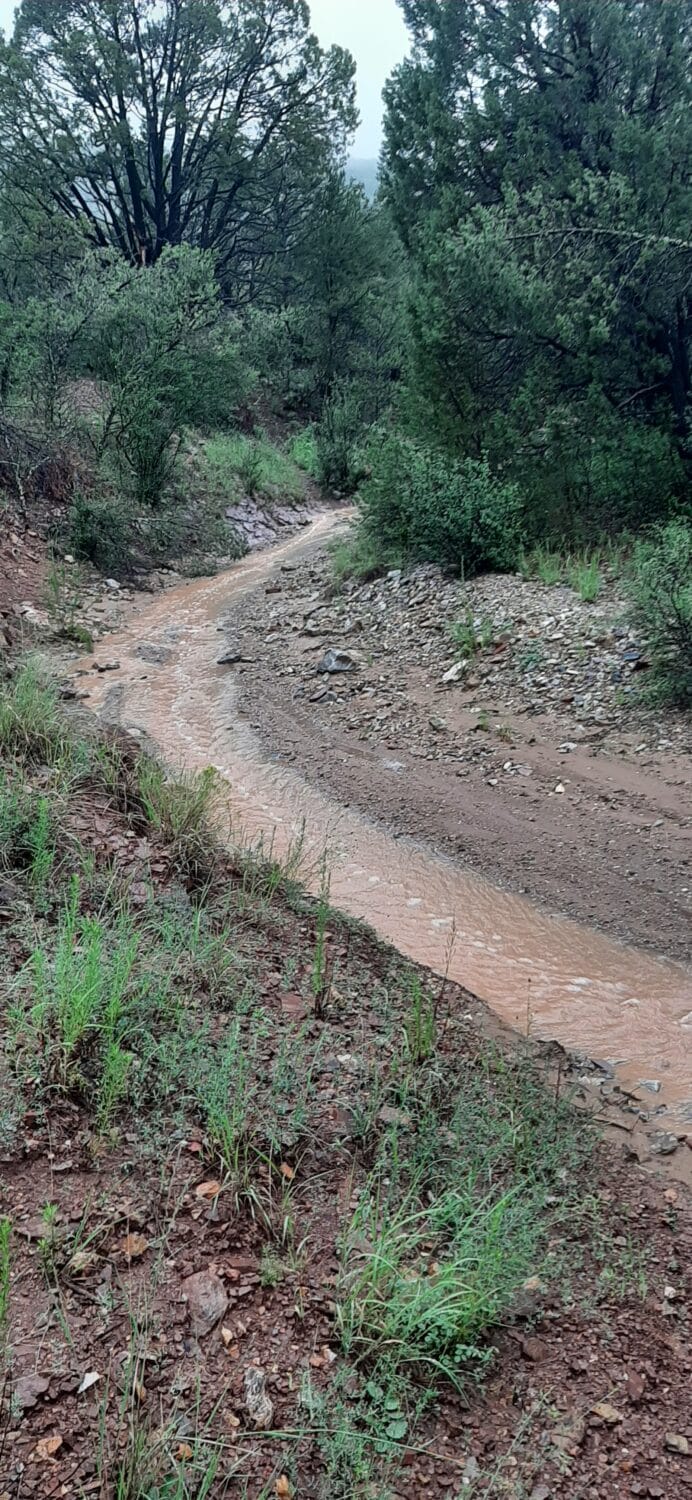 Little Red Creek on a quiet morning