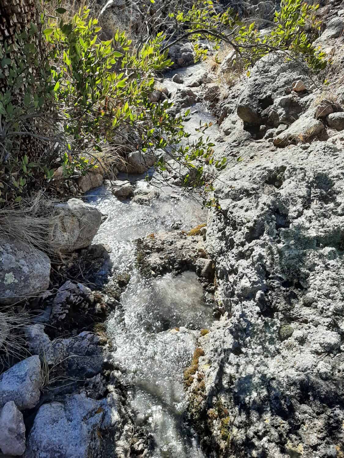 Little Red Creek on winter display