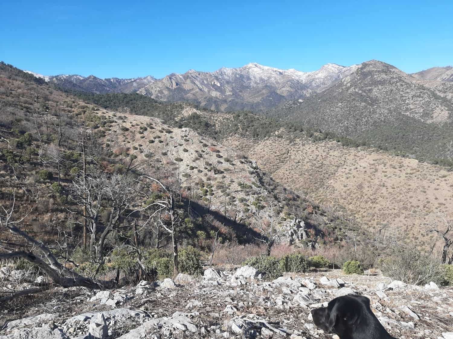 Looking west from the end of Iron Mountain Rd over the "EASY" route down to Middle Percha Canyon