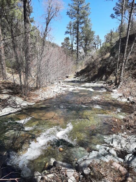 A beautiful moment on Middle Percha Creek