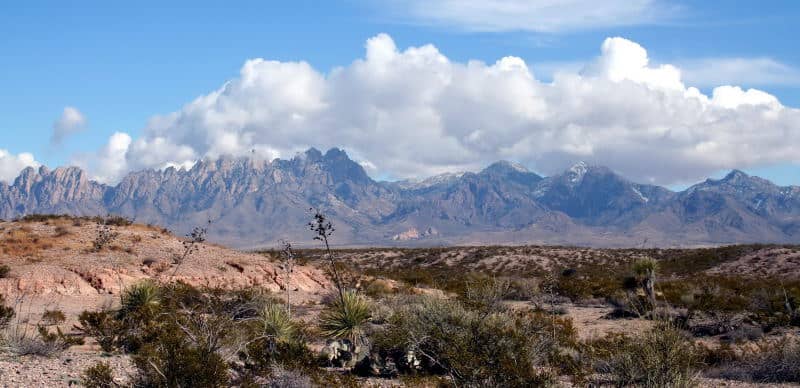 Organ Mountains seen from the west