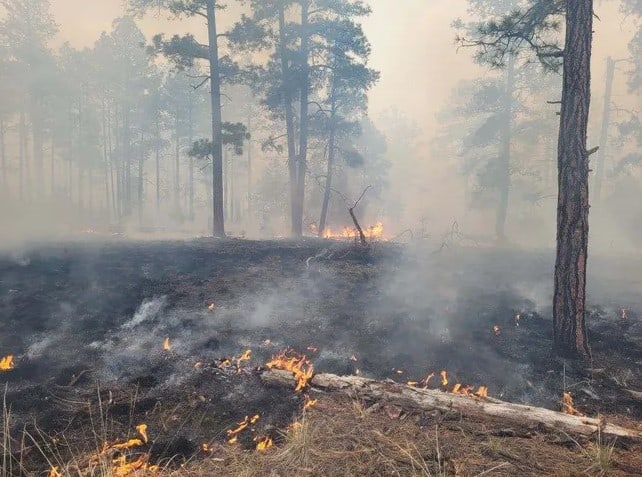 Pass Fire in Gila National Forest