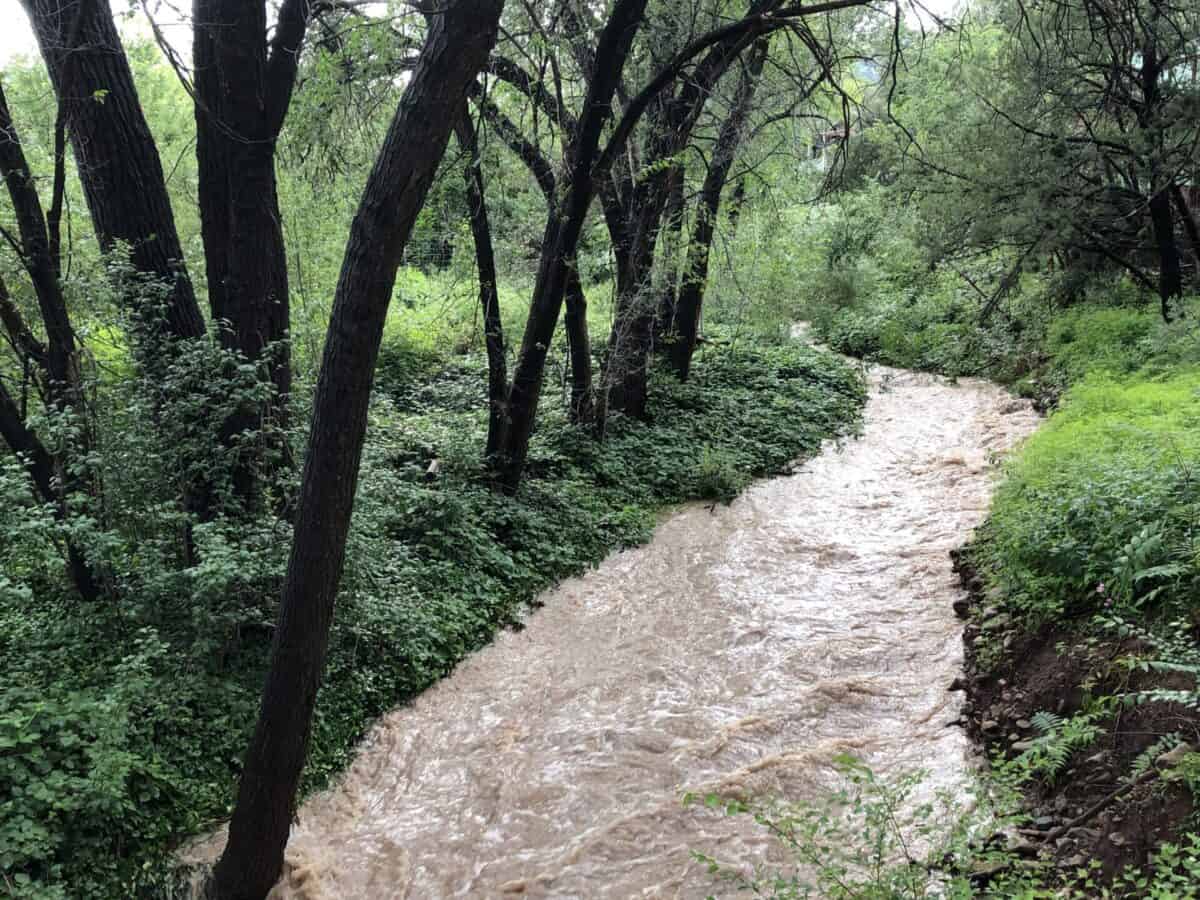 Middle Percha Creek swollen from monsoons.