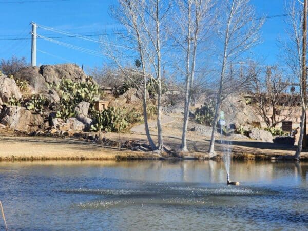 Pond near Ralph Edwards Park