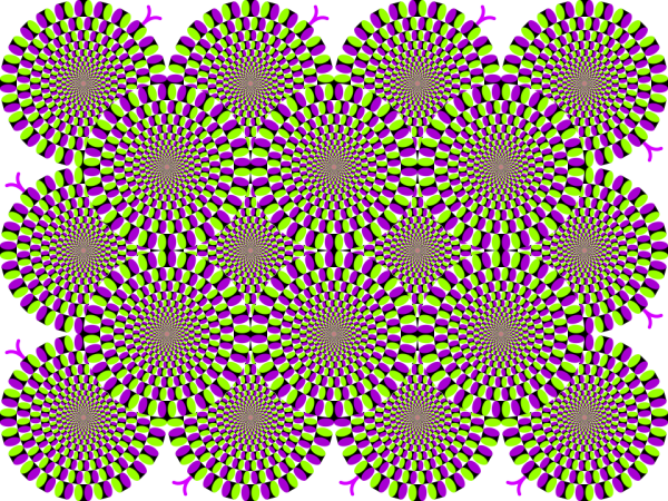 Rotating snakes famous motion optical illusion revealed by Akiyoshi Kitaoka, image courtesy of Wikimedia