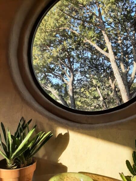 A round window view into a juniper full of surprises