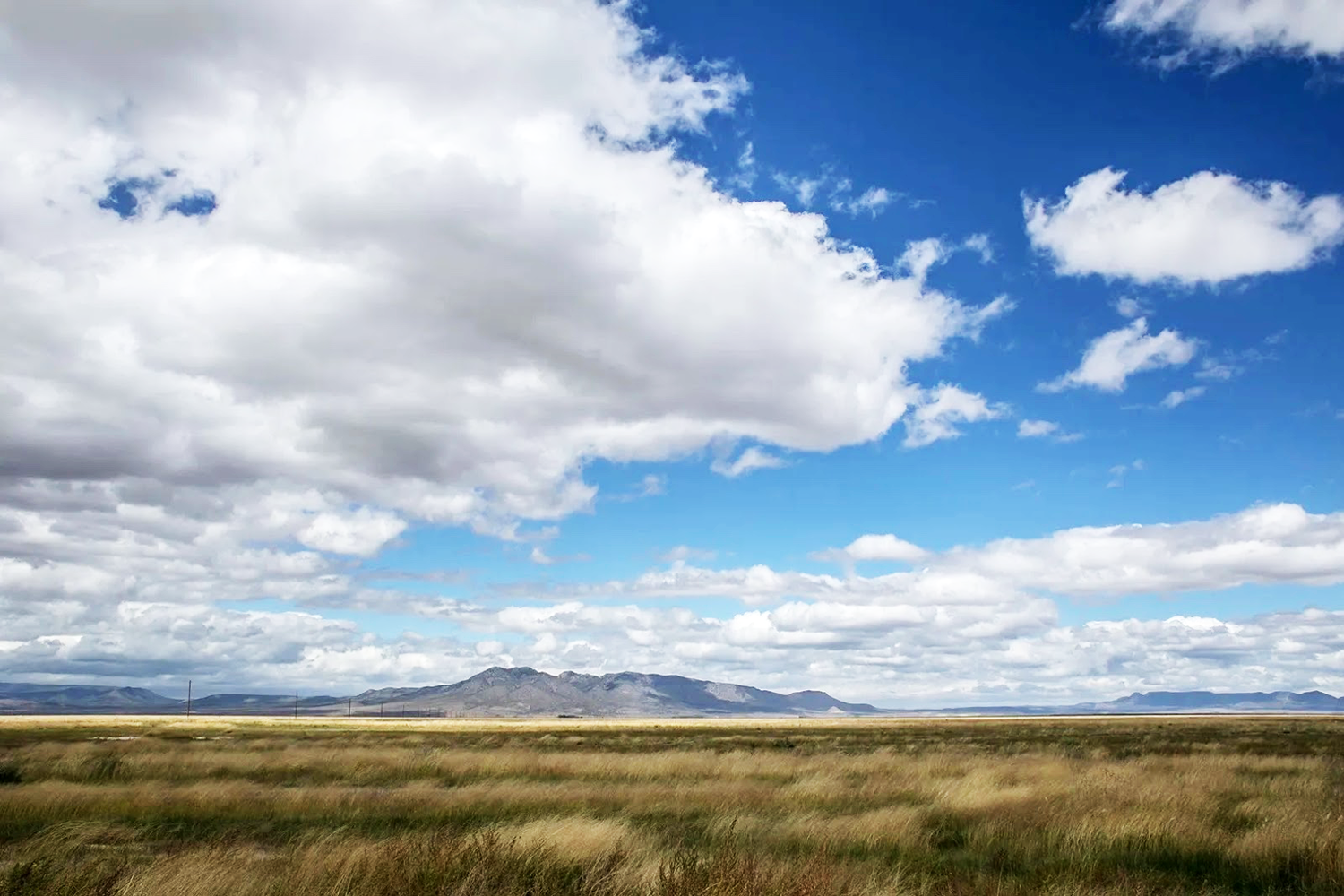 San Augustin Plains, image courtesy of the New Mexico Environmental Law Center