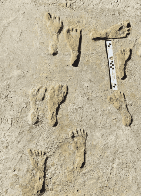 prehistoric human footprints