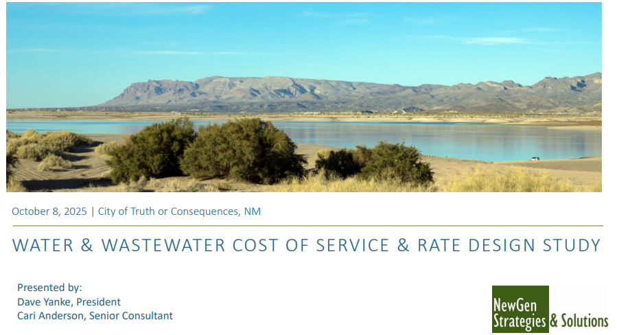 NewGen Strategies & Solutions image from presentation given at Oct. 8 city commission meeting