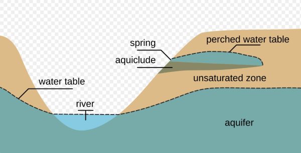 A schematic drawing showing the relationship between water in a stream and water in the ground near the stream.