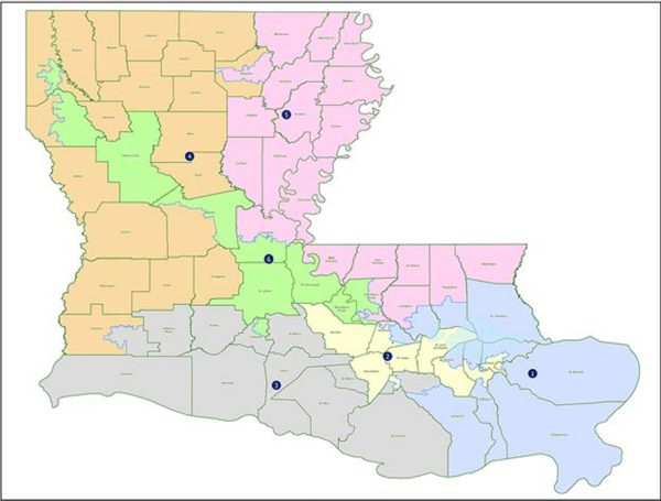 Fig. 3 in Justice Alito’s Supreme Court Opinion in Louisiana v. Callais showing the SB8 redistricting map declared unconstitutional.