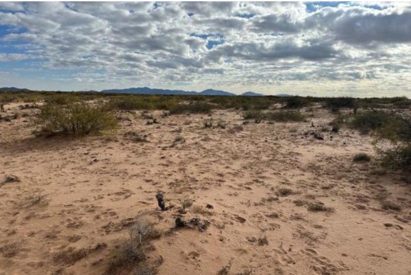 Southern New Mexico rangeland.