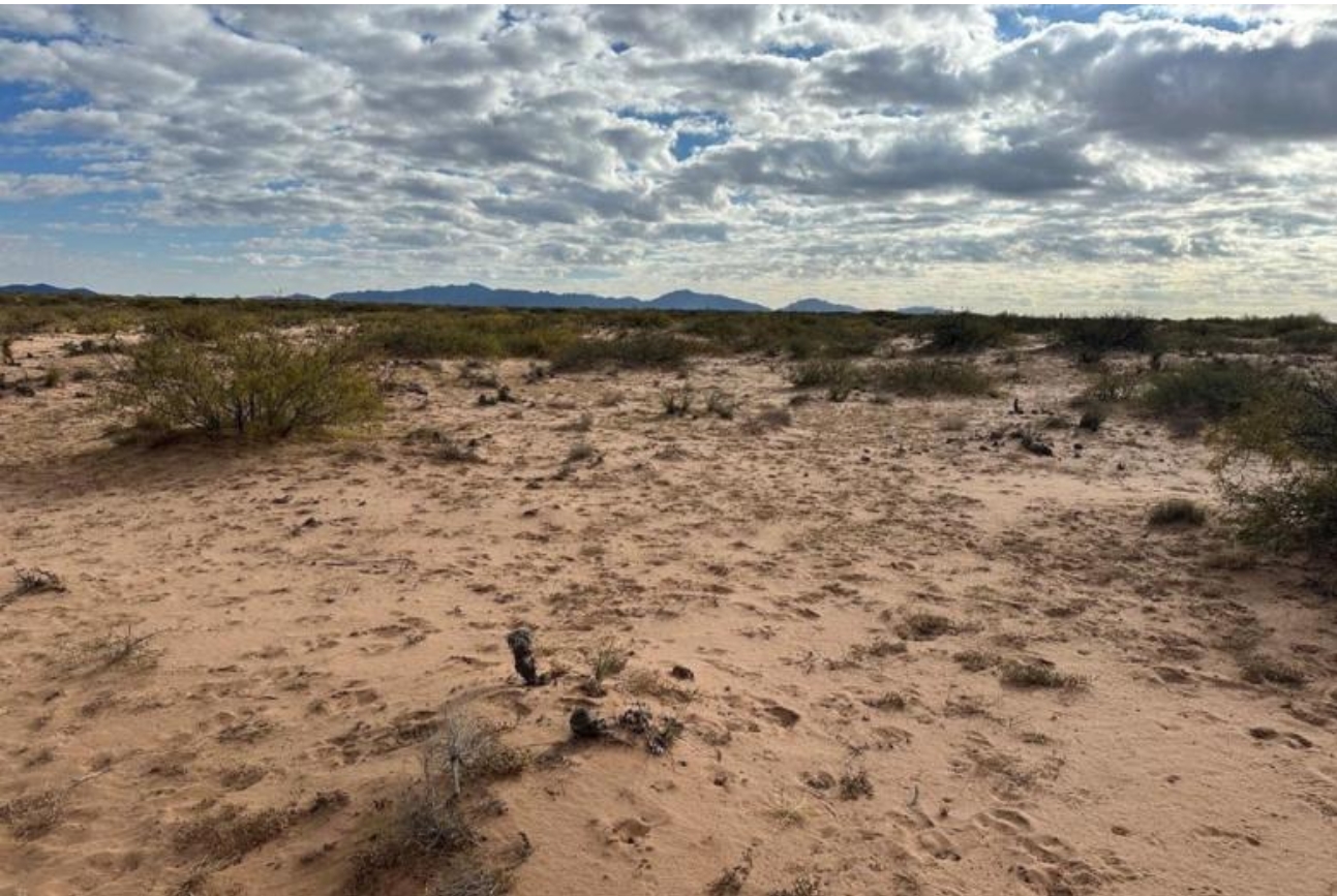 Southern New Mexico rangeland.