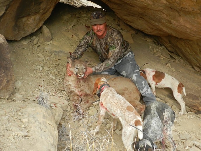 Three hunting dogs pictured, image from the Sierra Blanca Outfitters' web page