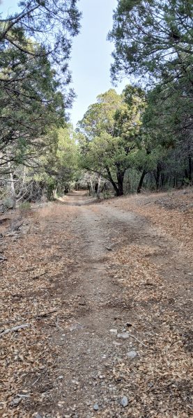 Quiet walk along FR40E