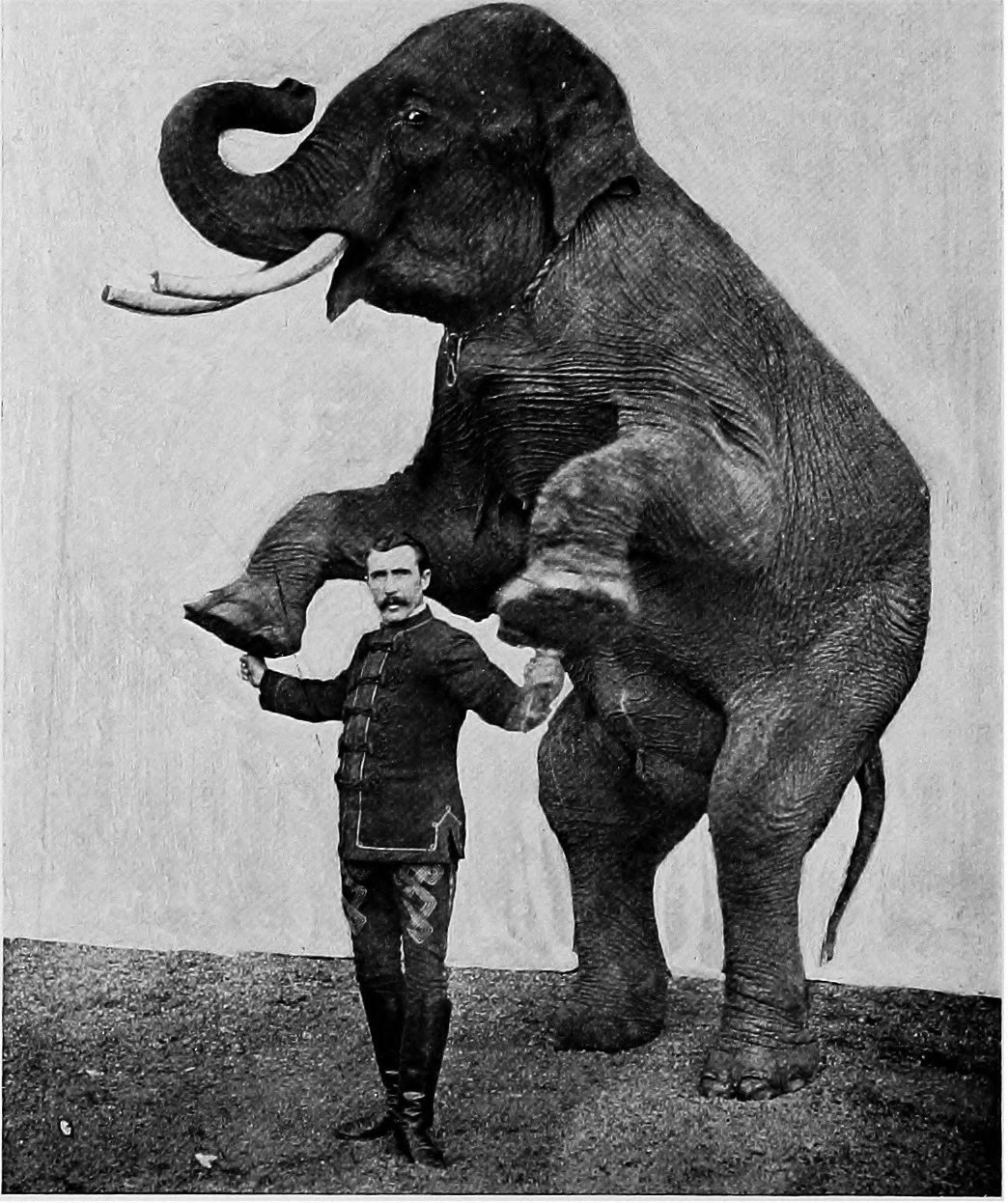 City Manager Gary Whitehead has elephantine tasks to perform. Image of a circus elephant and trainer, 1903, courtesy of Internet Archive Book Images