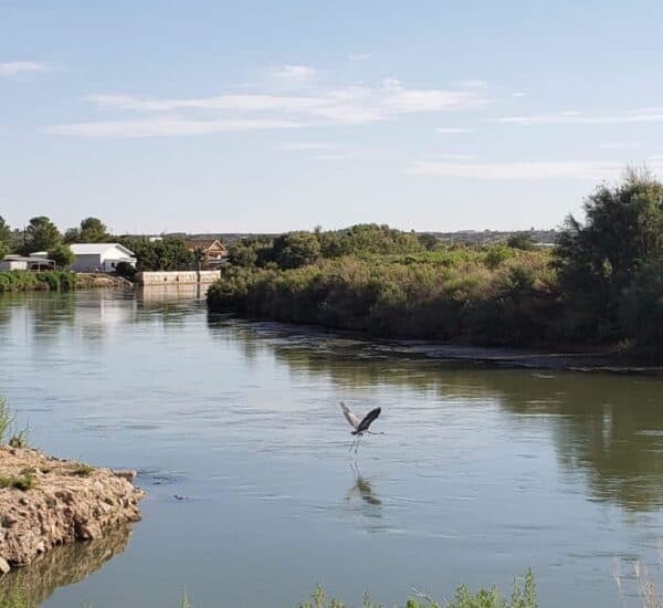 View of Rio Grande at Rotary Park