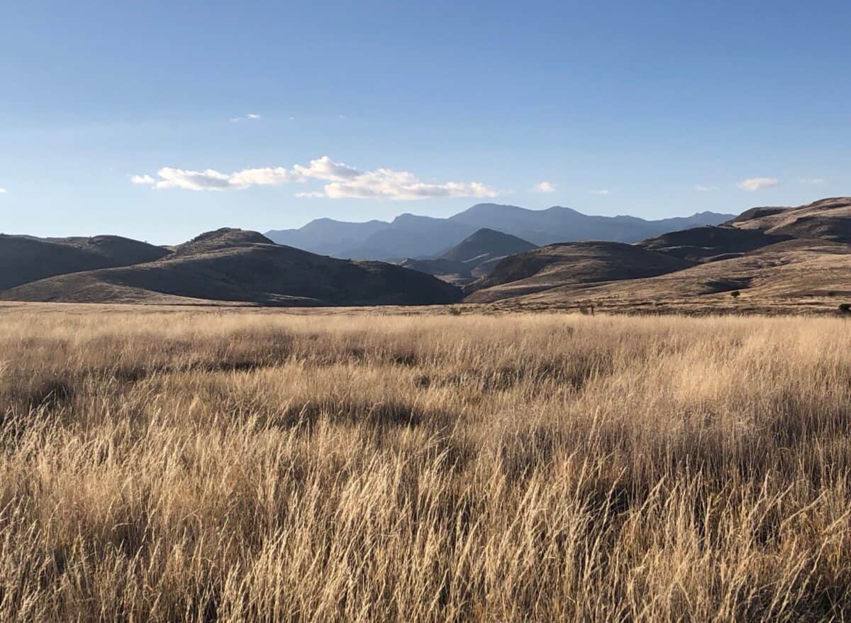 vast landscape of grasses in the foreground and black rang mountains in the background with late afternoon soft winter light.
