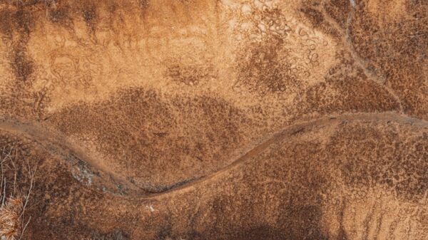 aerial view of dry riverbed