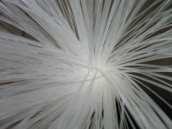 fiber optics wire graphic