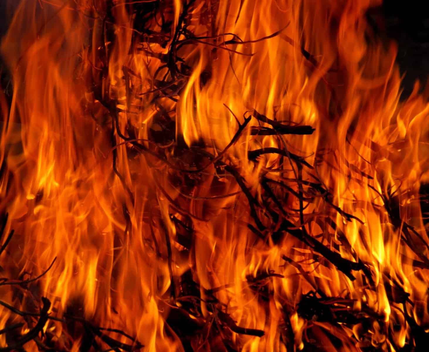 fire burning dry brush