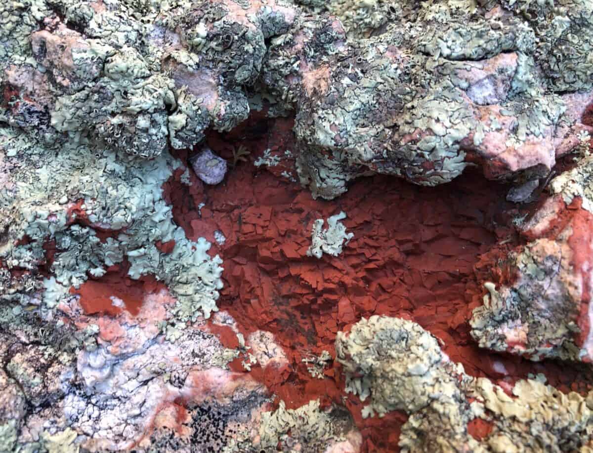 sage color lichen around a bright red inclusion.