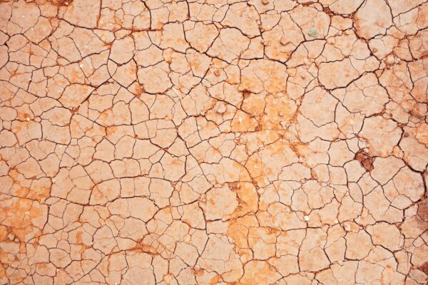 Detail of parched and cracked land.