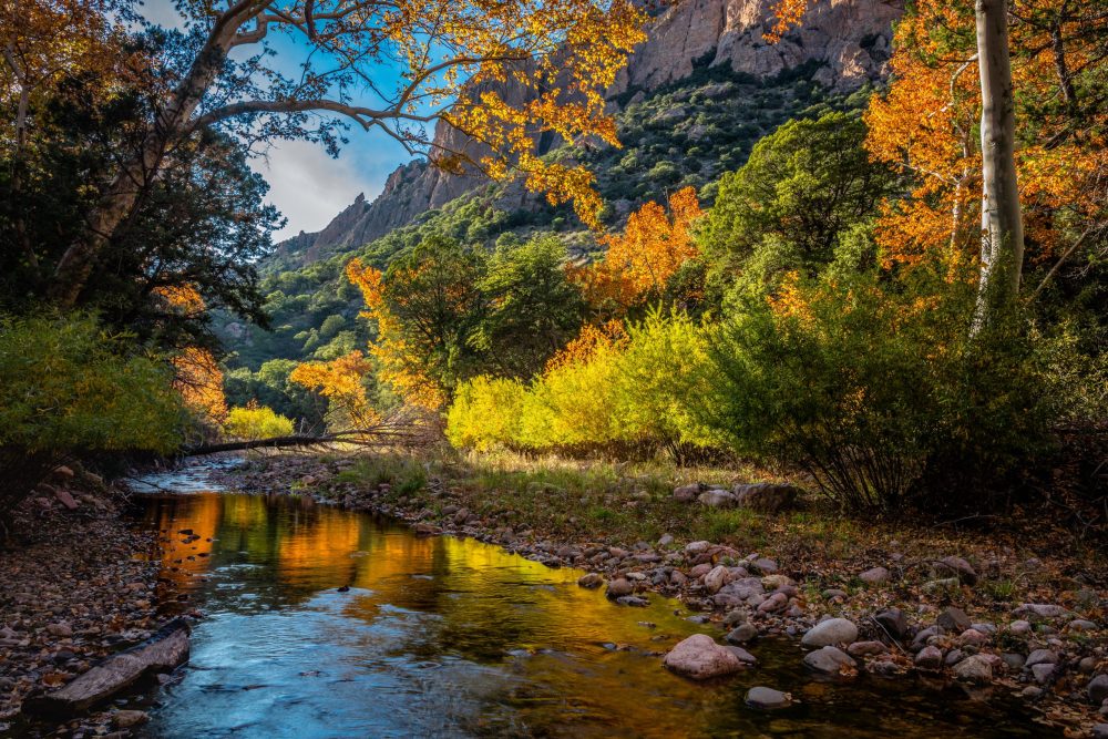 A small stream in a mountainous area with trees turning fall colors.